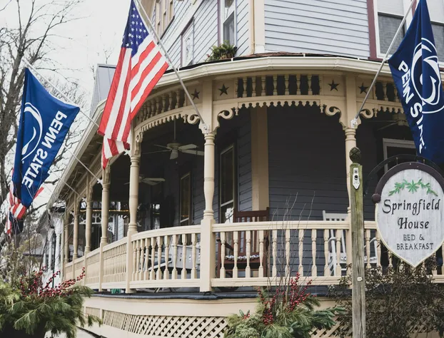 Springfield House B&B hotel detail image 1