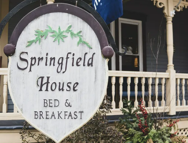 Springfield House B&B hotel detail image 3