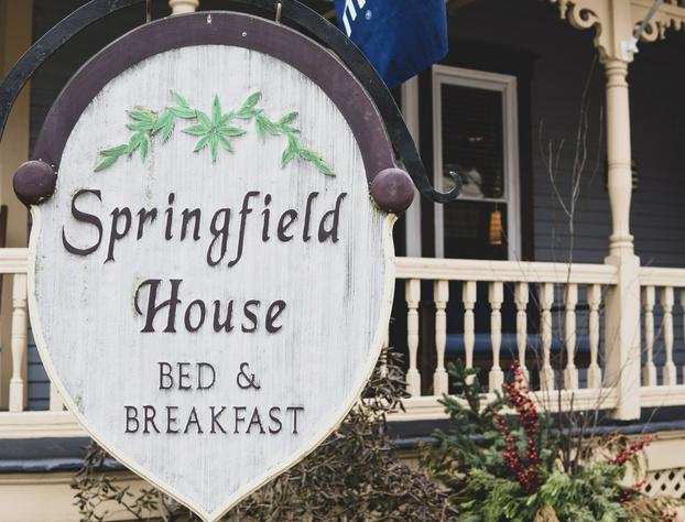 Springfield House B&B hotel detail image 3