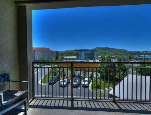 Courtyard by Marriott Pigeon Forge hotel detail image 3