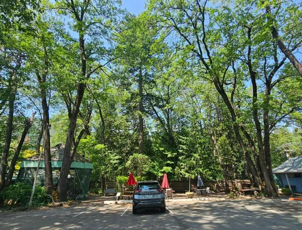 Cedar Lodge Motel hotel detail image 2