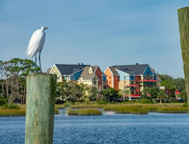 Sebastian Hotel, a member of Radisson Individuals hotel detail image 2