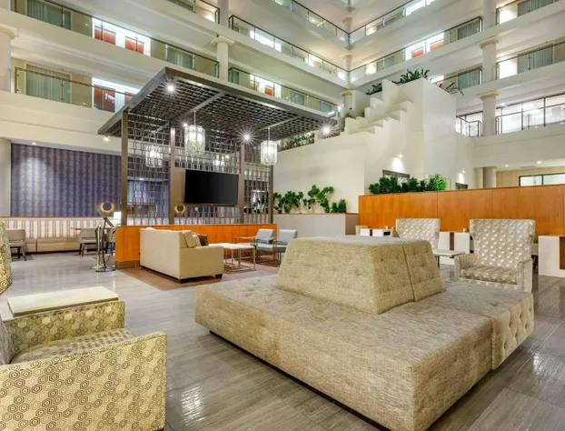 Hilton Club The District Washington D.C. hotel detail image 4