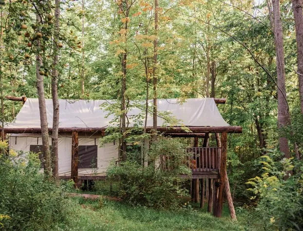 Firelight Camps hotel detail image 1