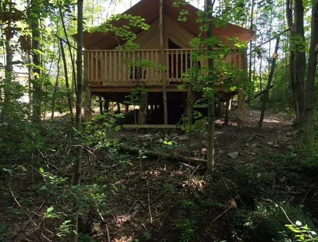 Firelight Camps hotel detail image 2