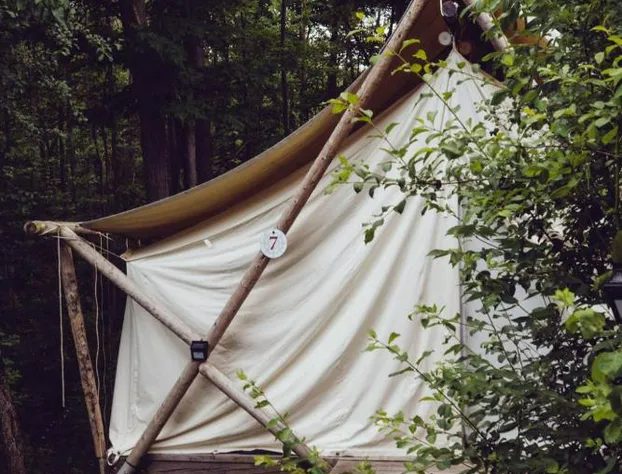 Firelight Camps hotel detail image 4