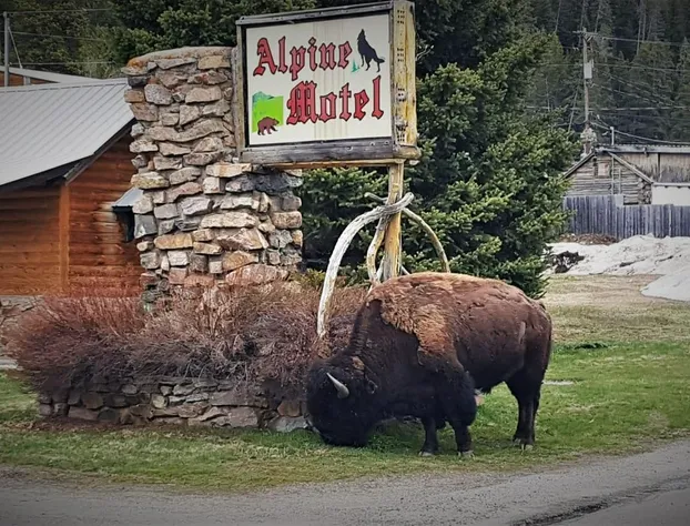 Alpine Motel hotel detail image 3