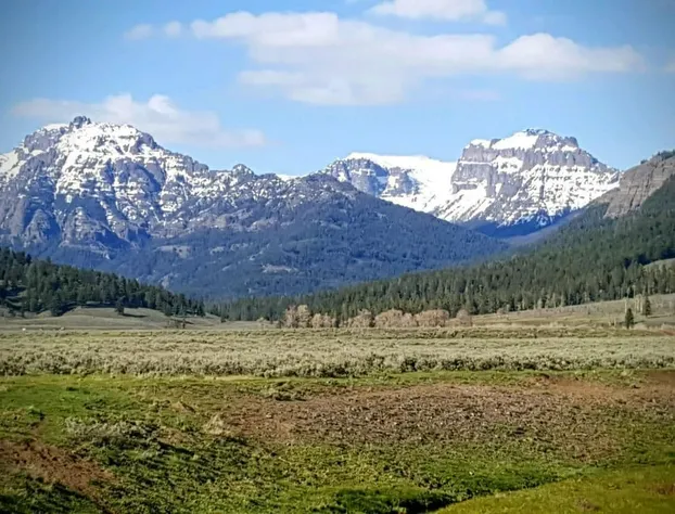 Alpine Motel hotel detail image 4