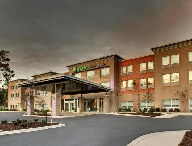 Holiday Inn Express & Suites Charleston NE Mt Pleasant US17 by IHG hotel detail image 1