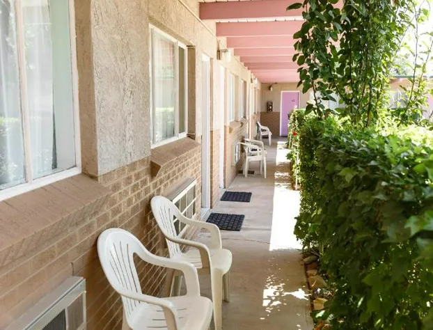 Safari Inn hotel detail image 4