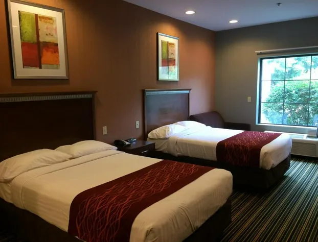 The Inn Forza hotel detail image 4