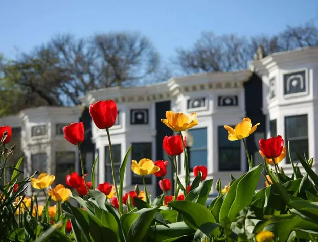 Hyatt Place Washington DC/Georgetown/West End hotel detail image 2