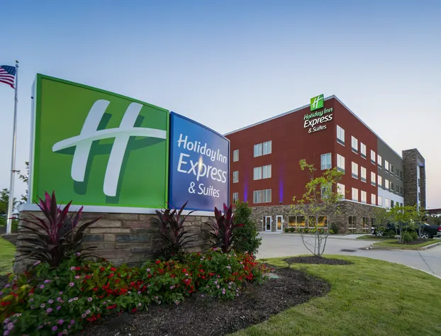 Holiday Inn Express & Suites Southaven Central - Memphis by IHG hotel detail image 2
