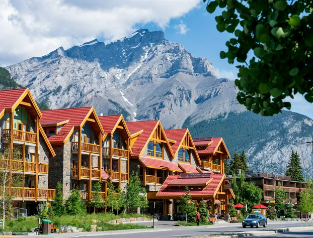 Moose Hotel And Suites hotel detail image 3