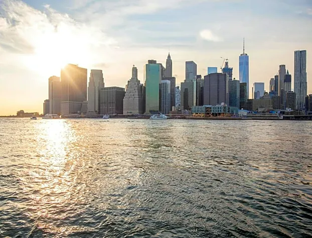 1 Hotel Brooklyn Bridge hotel detail image 2