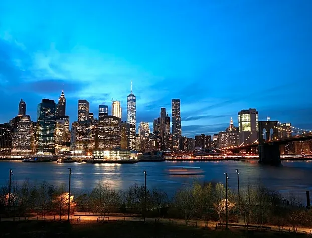 1 Hotel Brooklyn Bridge hotel detail image 3