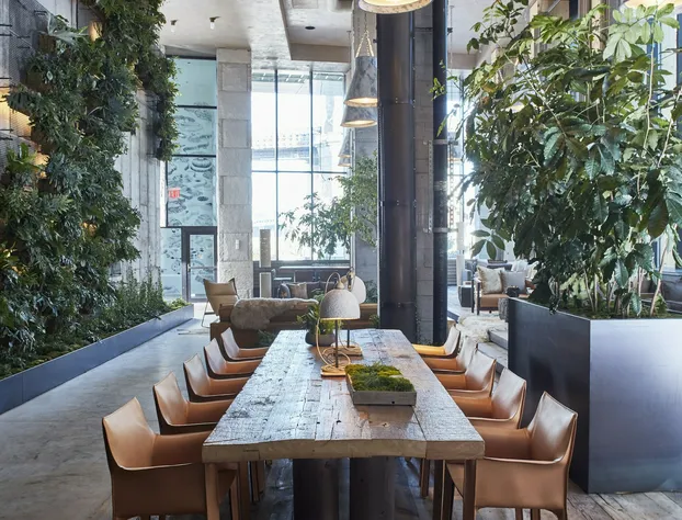 1 Hotel Brooklyn Bridge hotel detail image 2