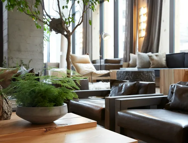 1 Hotel Brooklyn Bridge hotel detail image 4