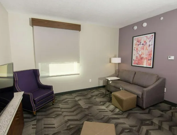 Hilton Garden Inn Tampa Suncoast Parkway hotel detail image 2