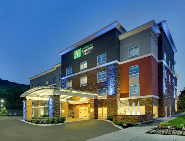 Holiday Inn Express & Suites Ithaca by IHG hotel detail image 2