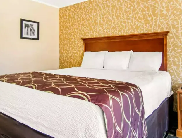 Quality Inn hotel detail image 2