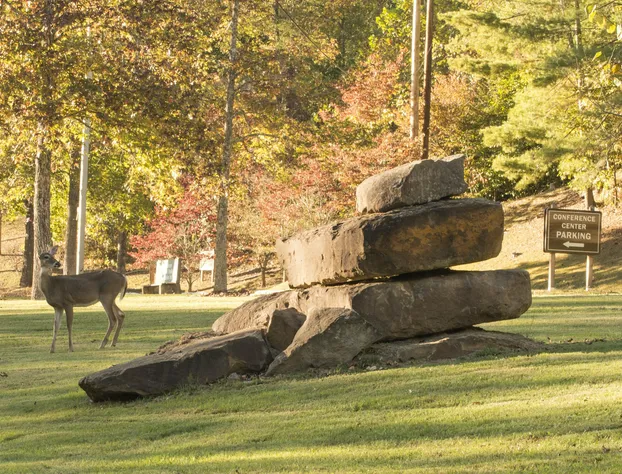Buckhorn Lake State Resort Park hotel detail image 3