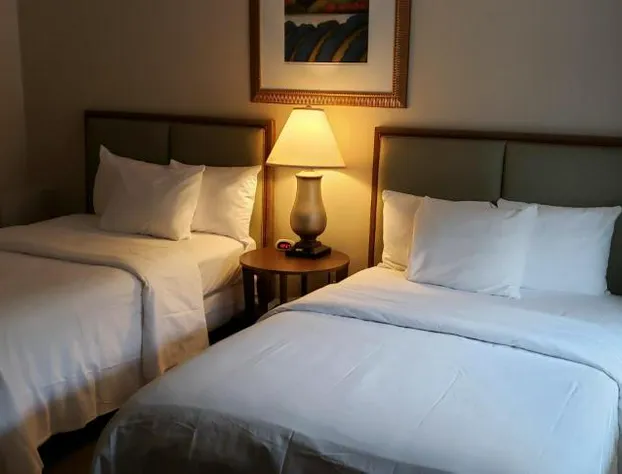 The Happy Hollow hotel detail image 3