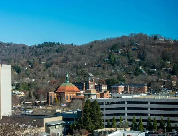 AC Hotel Asheville Downtown hotel detail image 3