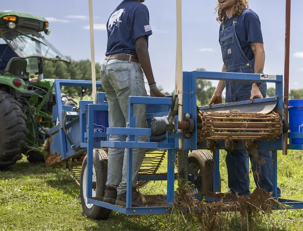 Airlie Hotel hotel detail image 2
