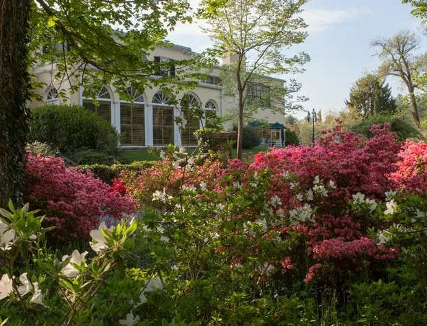 Airlie Hotel hotel detail image 4