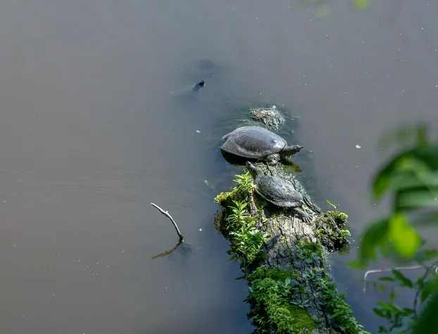 Bluebird Bay Resort hotel detail image 3
