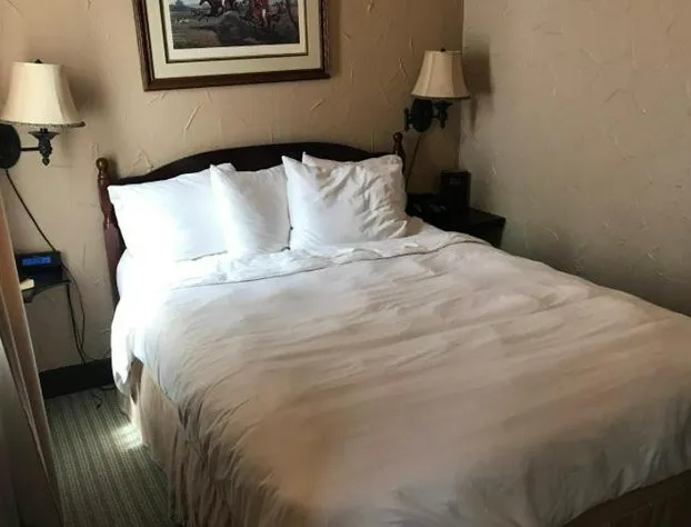 Ye Old English Inn hotel detail image 1