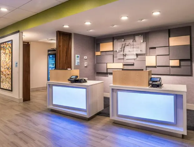 Holiday Inn Express & Suites Tampa North - Wesley Chapel by IHG hotel detail image 4