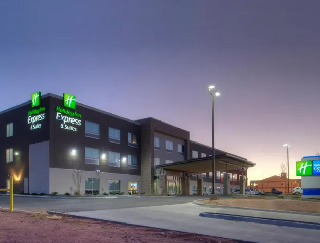 Holiday Inn Express & Suites Van Horn by IHG hotel detail image 2