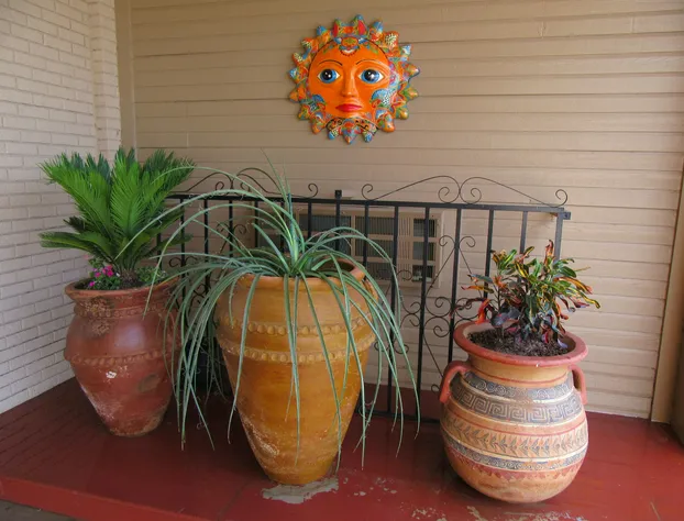 El Patio Inn hotel detail image 2