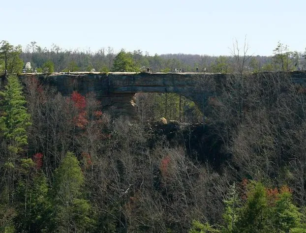 Big South Fork Trail Lodge hotel detail image 1