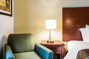 Sleep Inn & Suites Pooler - Savannah Area hotel detail image 2