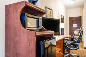 Sleep Inn & Suites Pooler - Savannah Area hotel detail image 3