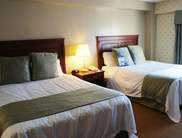 Quality Inn & Suites hotel detail image 4