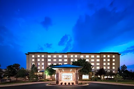 Hilton Garden Inn Denver South Park Meadows Area hotel detail image 2