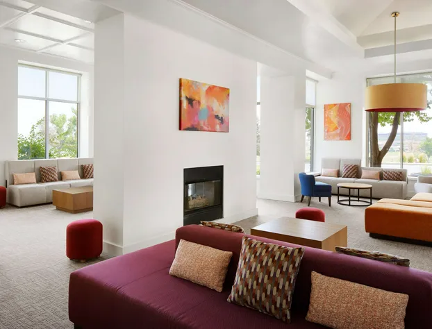 Hilton Garden Inn Denver South Park Meadows Area hotel detail image 2