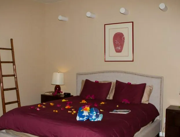 Sea Mountain Inn Nude Resort and Spa - Adults Only hotel detail image 3