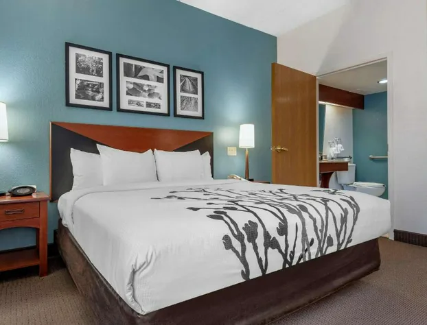 Sleep Inn Amherst - Buffalo North near University hotel detail image 4