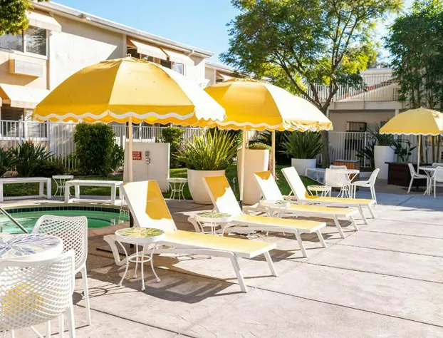 Wild Palms, a JdV by Hyatt Hotel hotel detail image 4