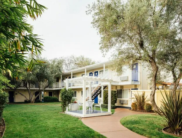 Wild Palms, a JdV by Hyatt Hotel hotel detail image 3