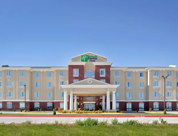 Holiday Inn Express Hotel & Suites Dumas by IHG hotel detail image 1