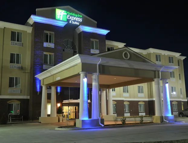 Holiday Inn Express Hotel & Suites Dumas by IHG hotel detail image 2