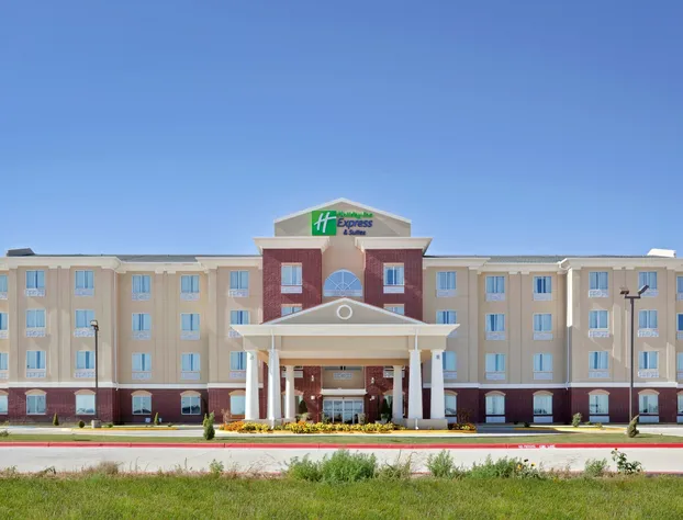 Holiday Inn Express Hotel & Suites Dumas by IHG hotel detail image 1