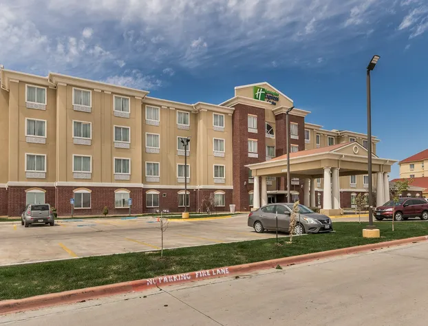 Holiday Inn Express Hotel & Suites Dumas by IHG hotel detail image 3