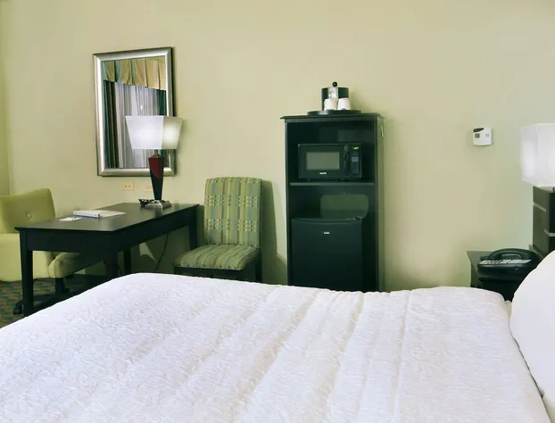 Hampton Inn Gadsden/Attalla I-59 hotel detail image 4